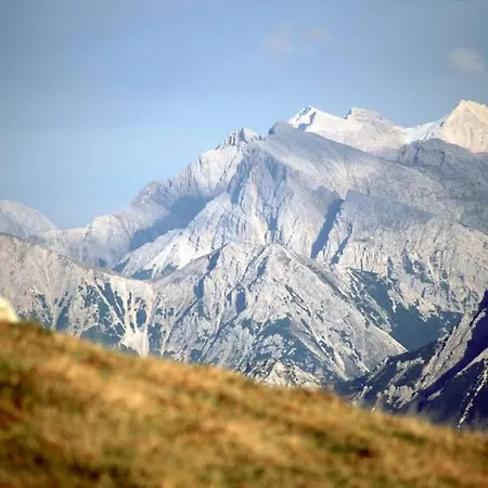 Апартаменты Alpenrose *