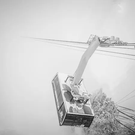Appartement Alpenrose