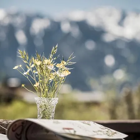 Alpenrose Apartmán